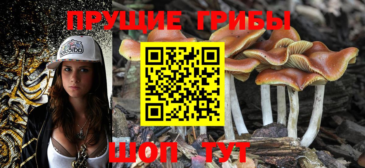 Псилоцибиновые грибы GOLDEN TEACHER Смоленск